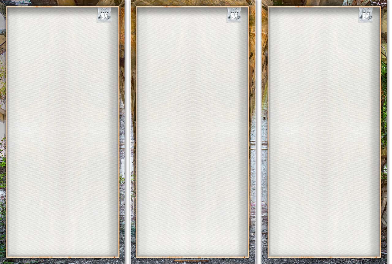 Canvas Print Abandoned Hallway 2