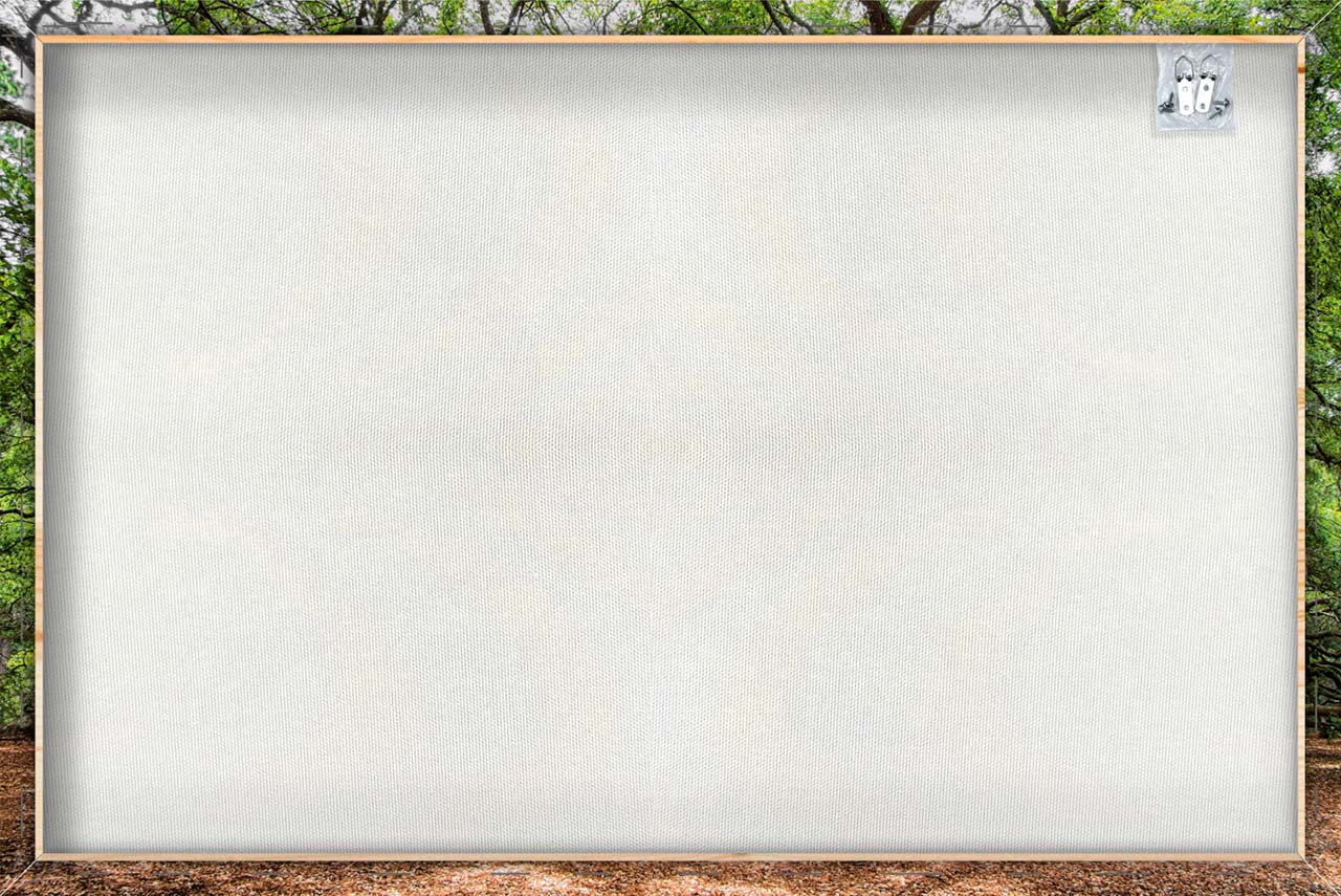 Canvas Print Verzweigter Baum