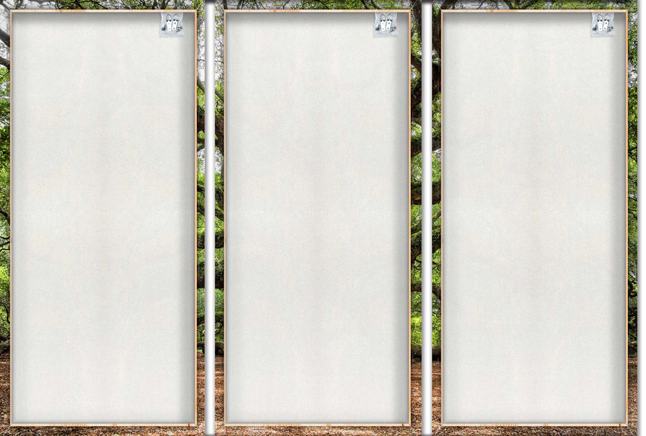 Impression sur toile Arbre ramifié