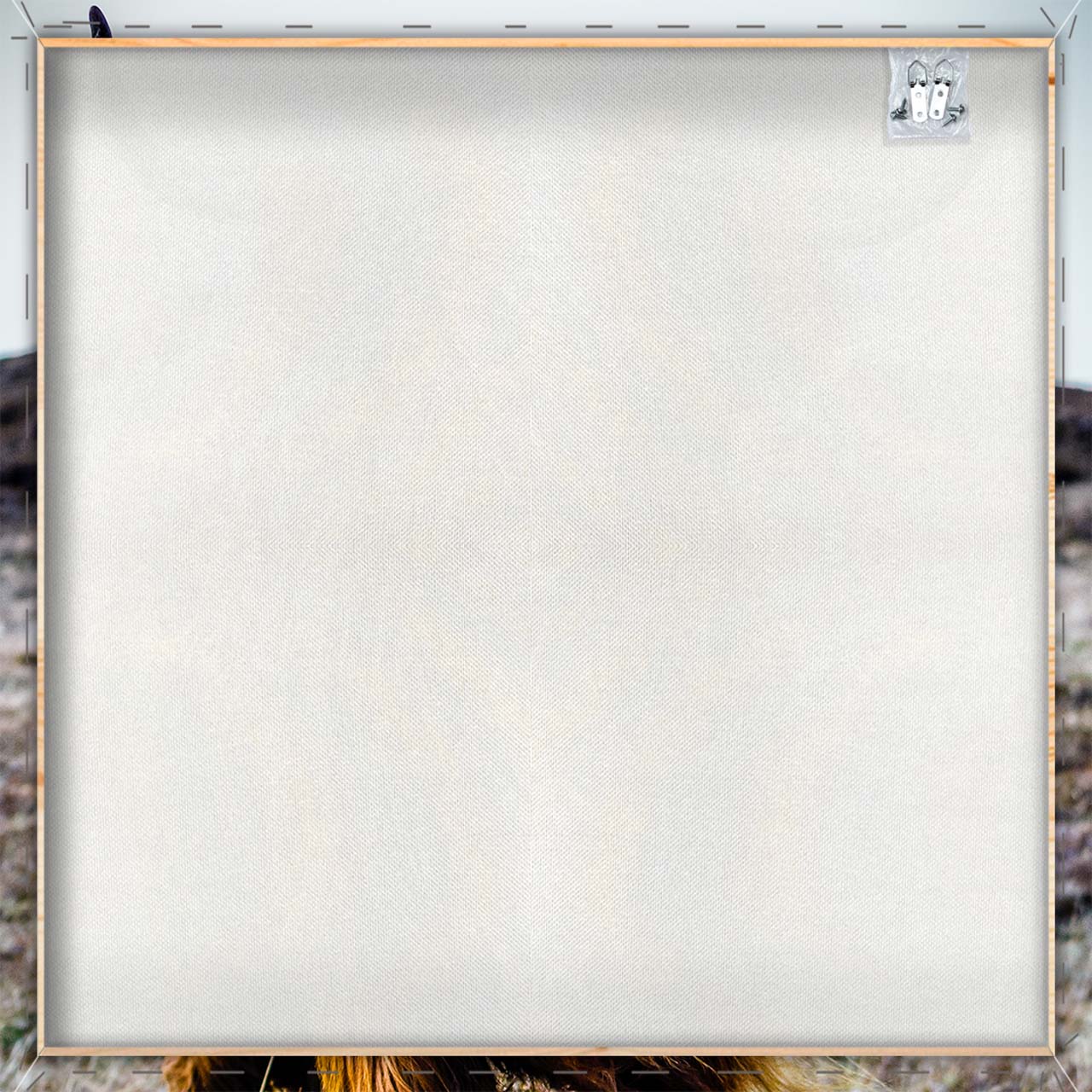 Impression sur toile de vaches des Highlands