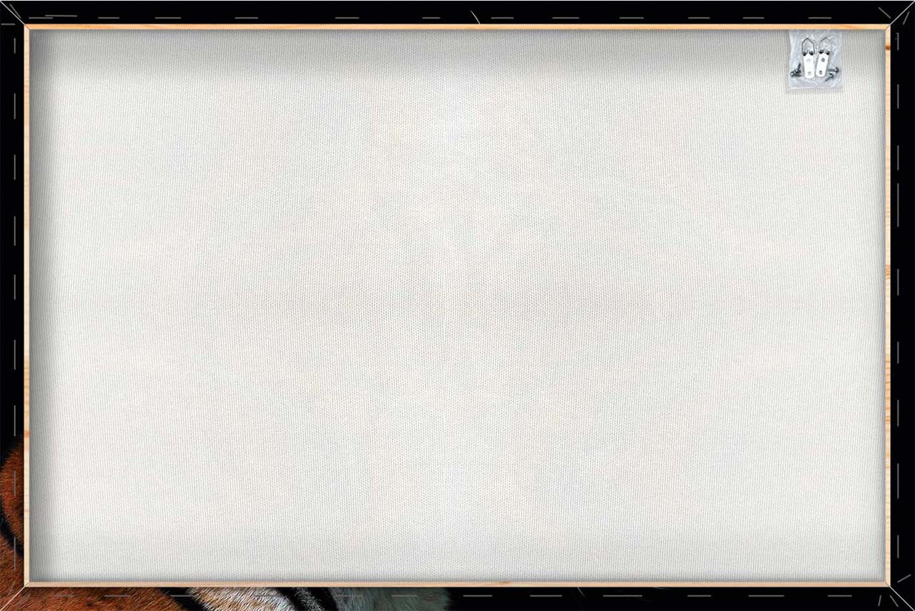 Impression sur toile Tigre sifflant