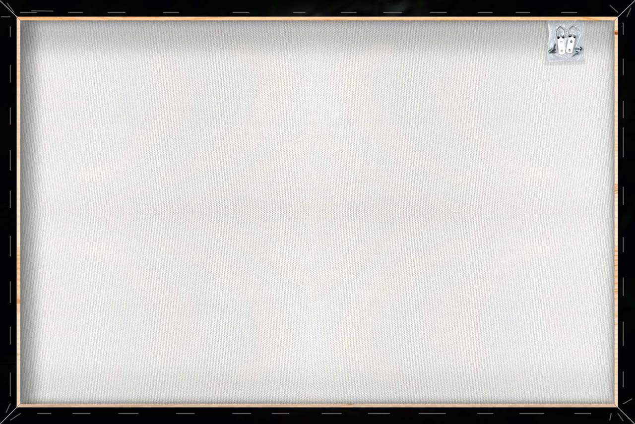 Impression sur toile Tigre imposant