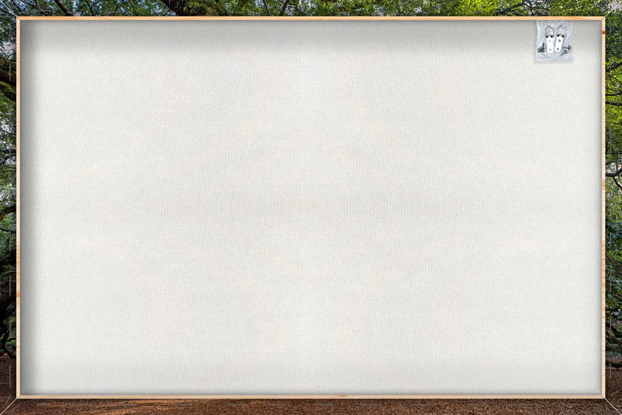 Impression sur toile Arbre de fascination