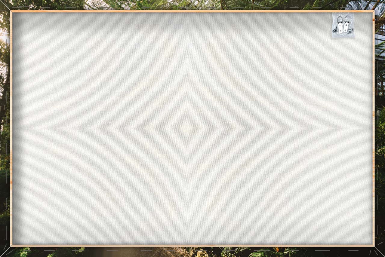 Canvas Print Gewächshaus mit Lichtreflexen