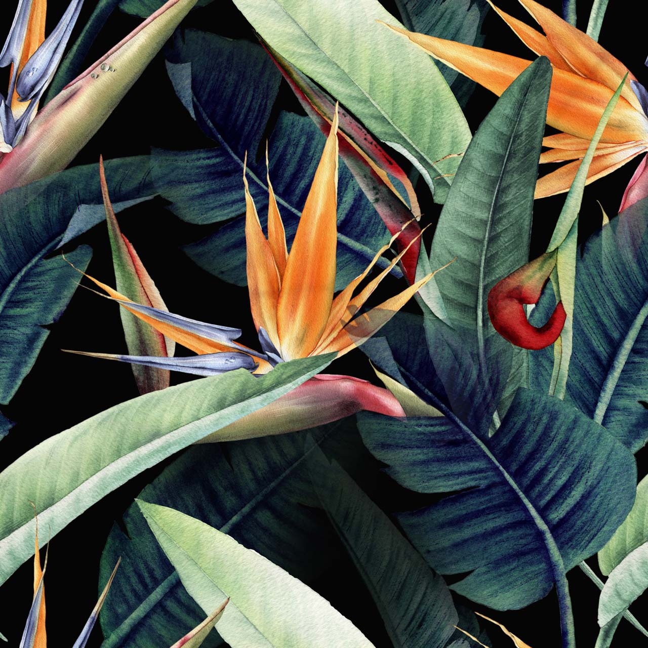 Impression sur toile Strelitzias colorés