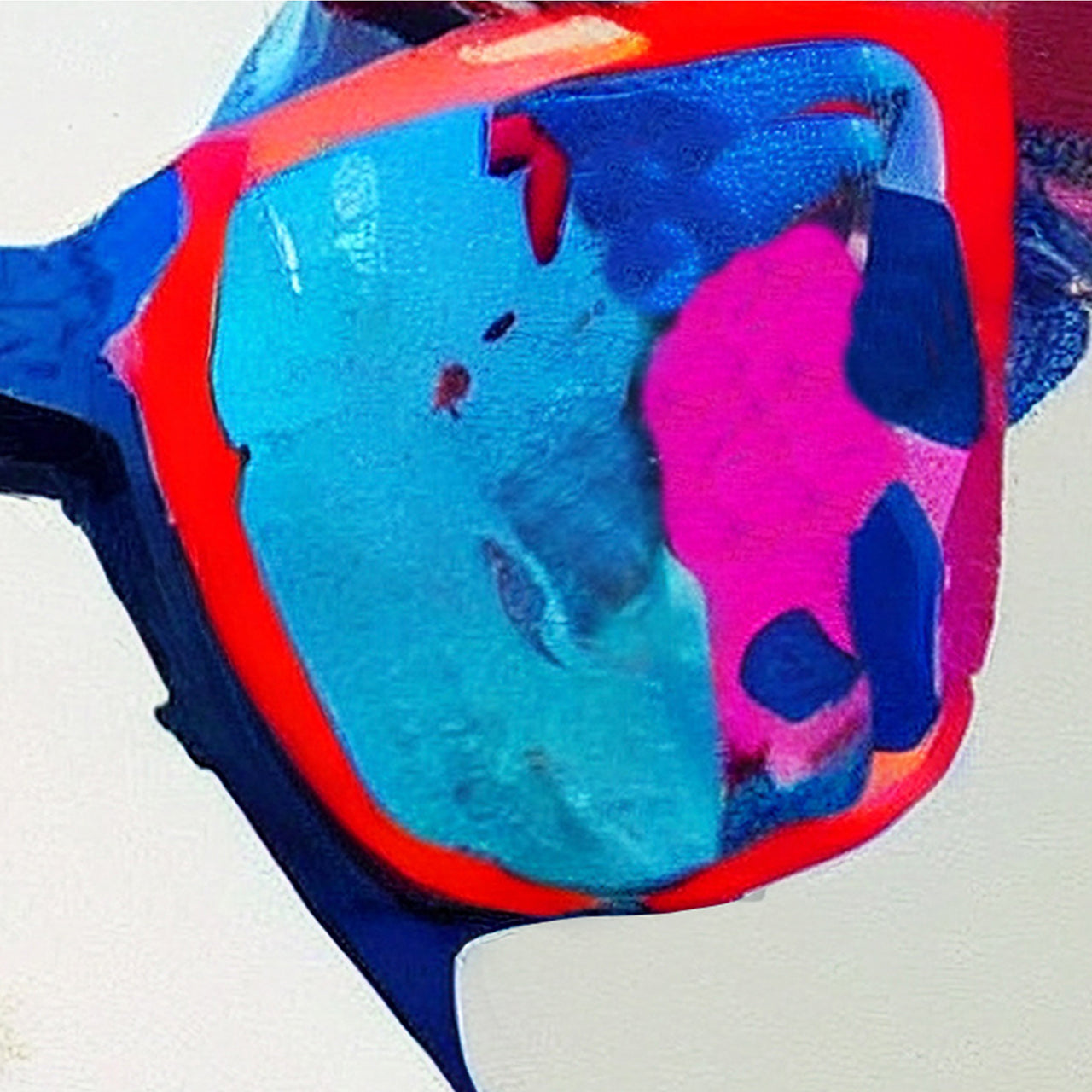 Canvas Print Cool Cow