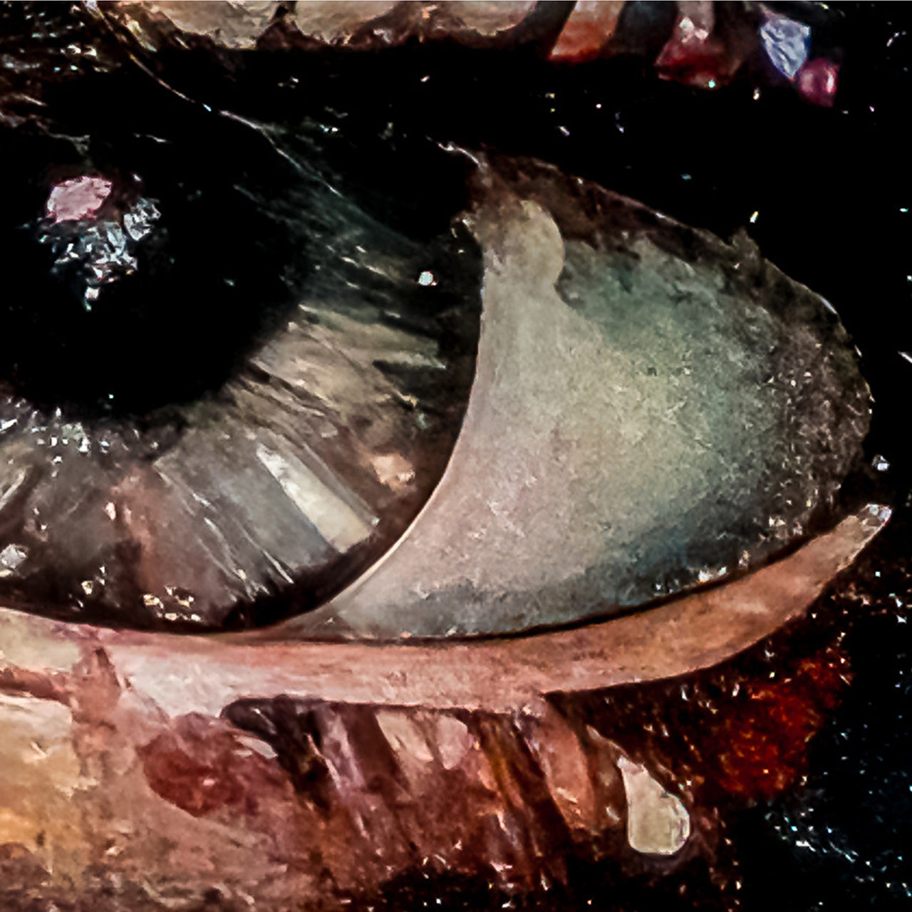Canvas Print Eyes in Colour