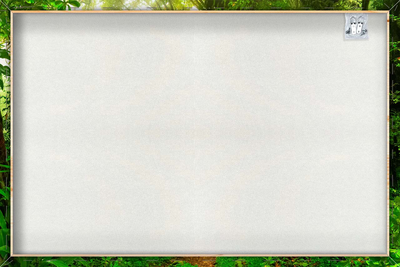 Impression sur toile Forêt