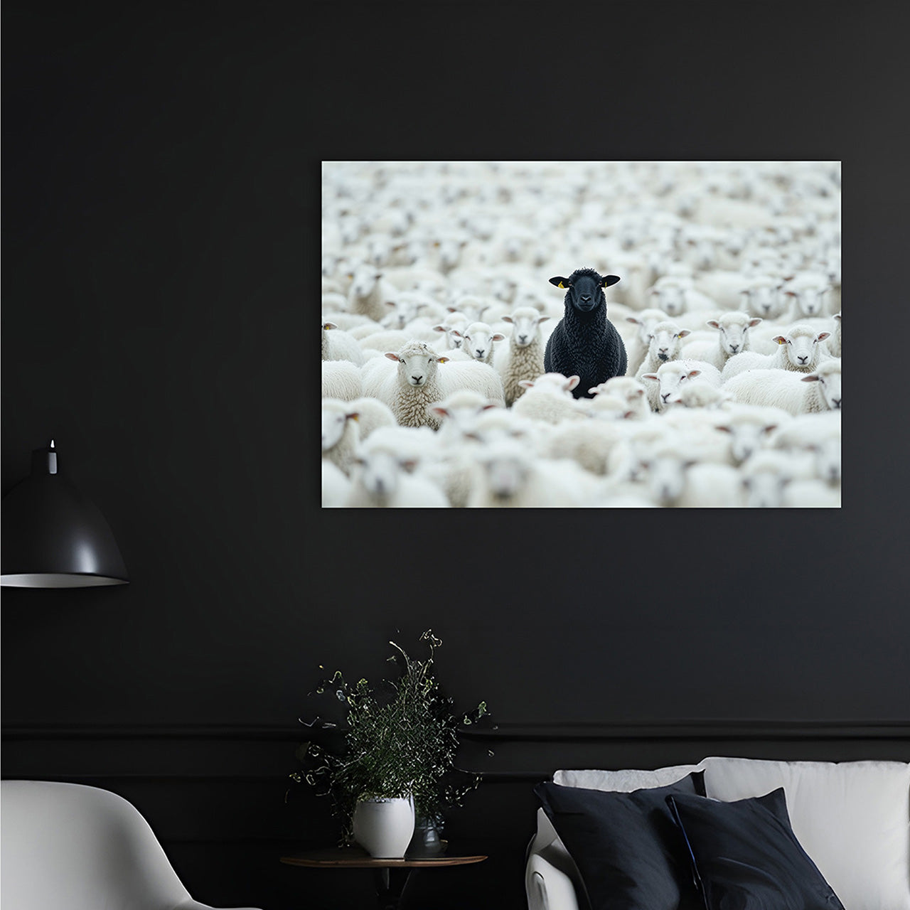Canvas Print Black Sheep