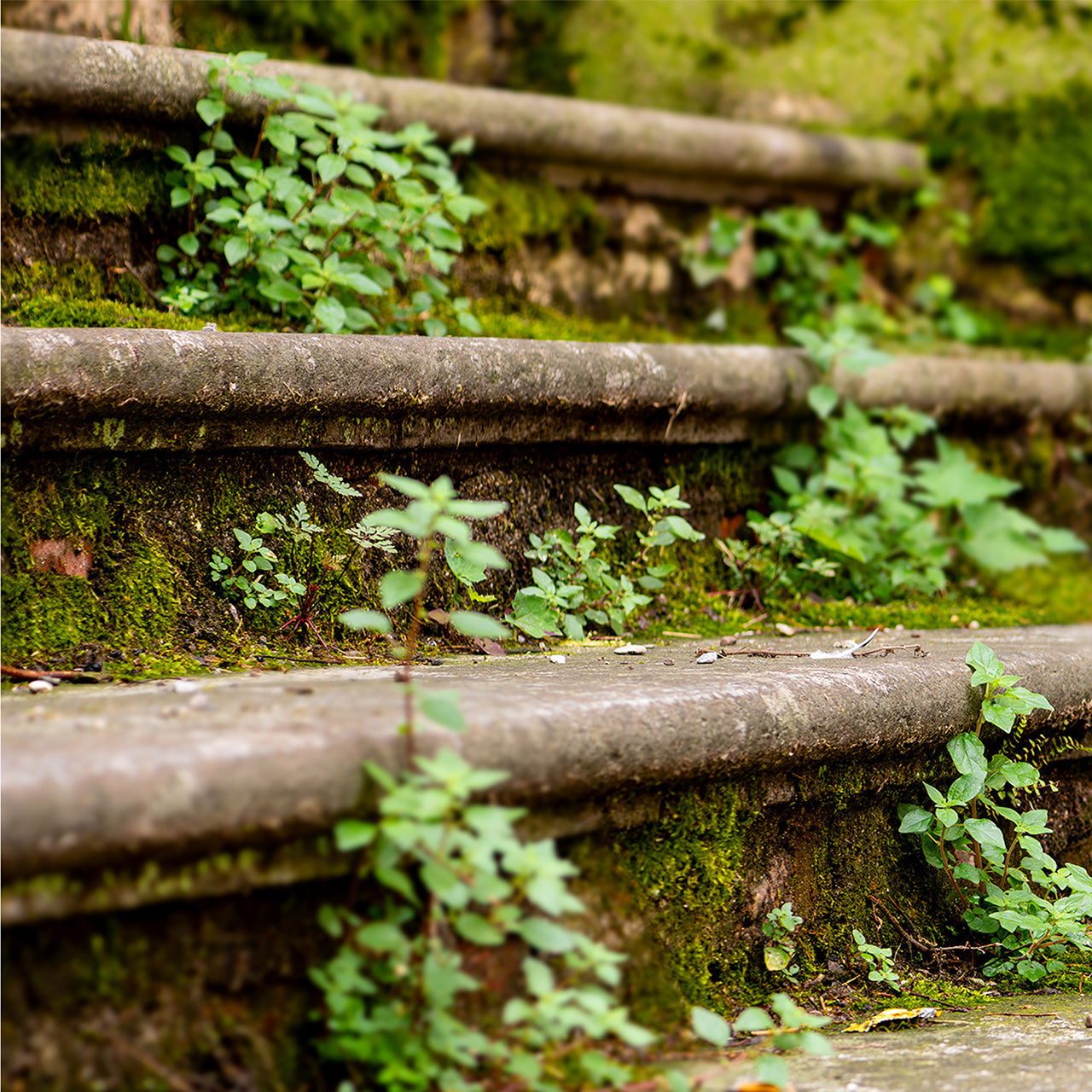 Canvas Print Upstairs