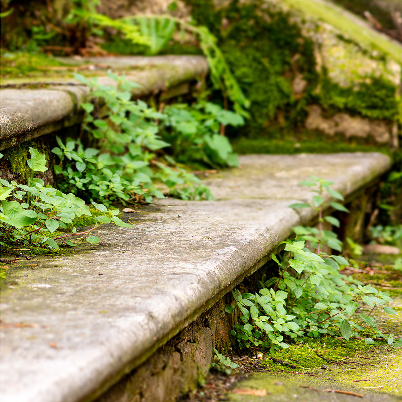 Canvas Print Upstairs