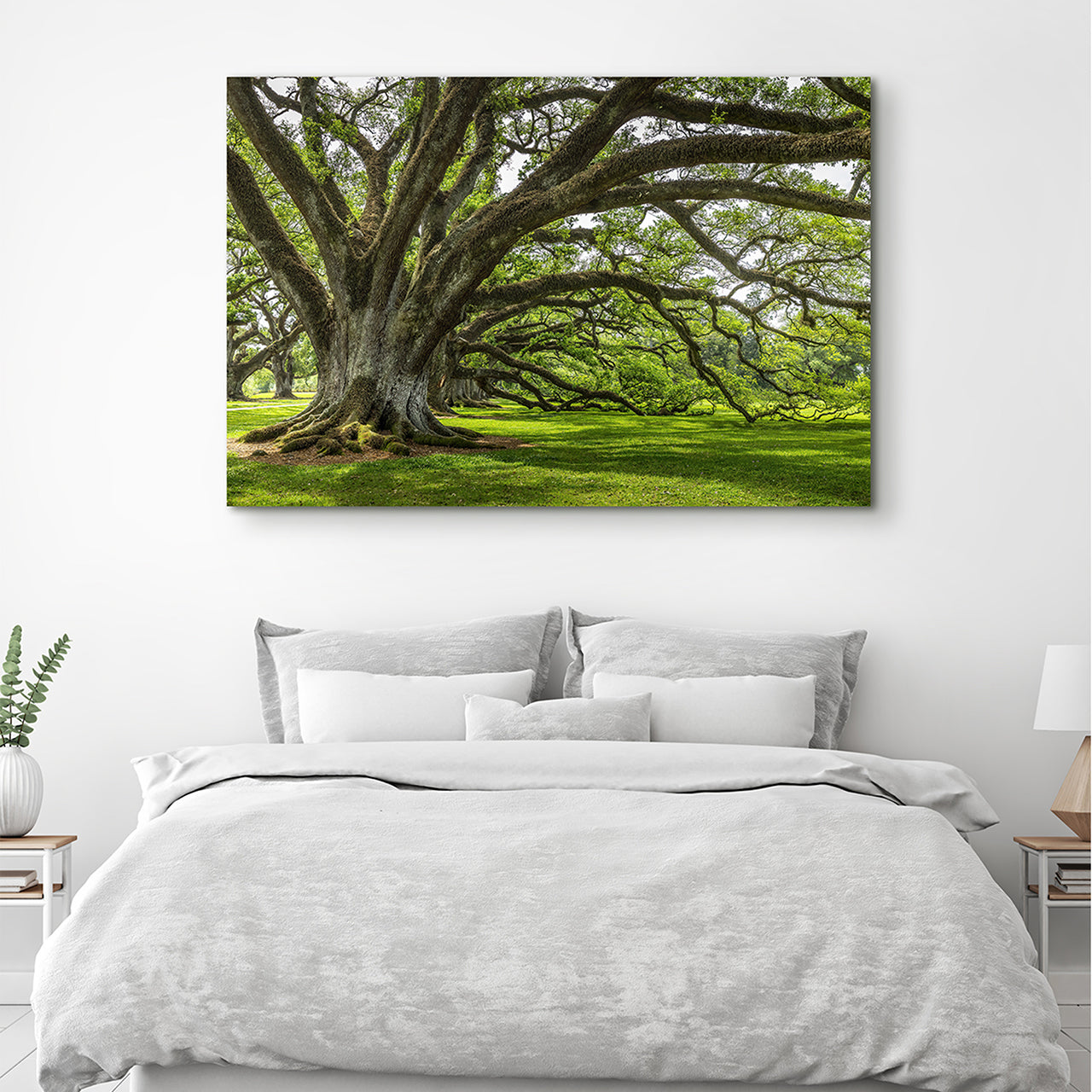 Canvas Print Baum der Ewigkeit