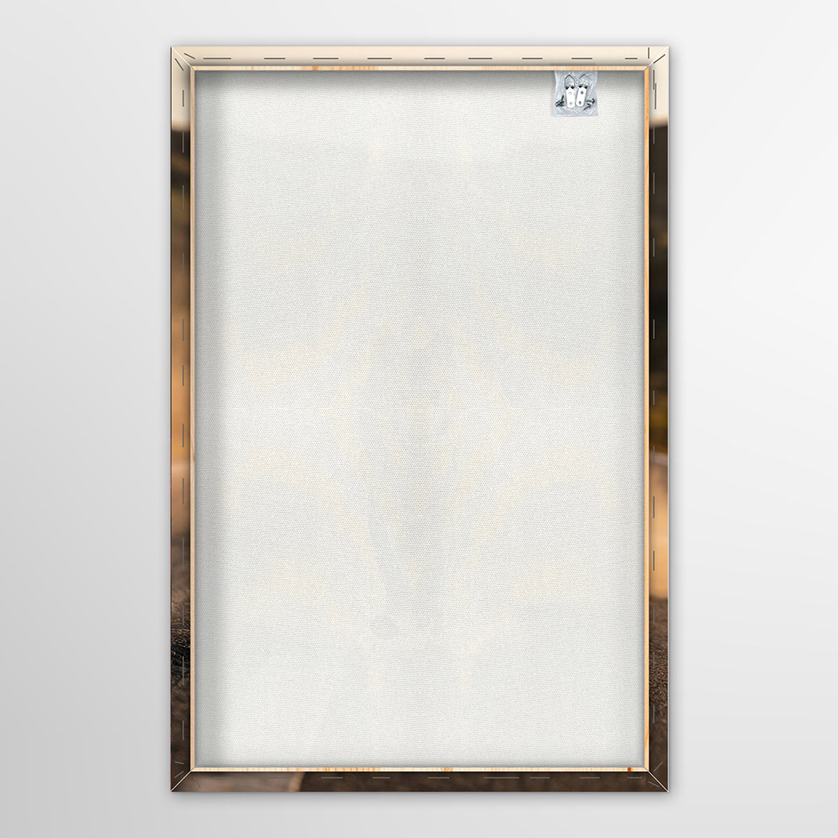 Canvas Print Roadrunner