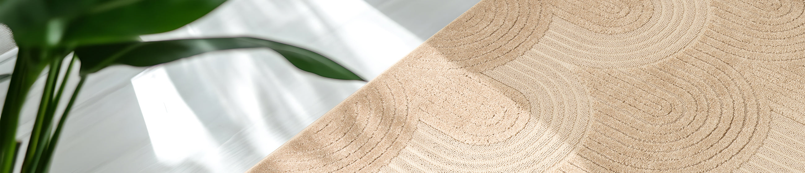 Detailaufnahme eines beigen Teppichs mit geometrischem Muster aus geschwungenen Linien, im Sonnenlicht neben einer grünen Zimmerpflanze.