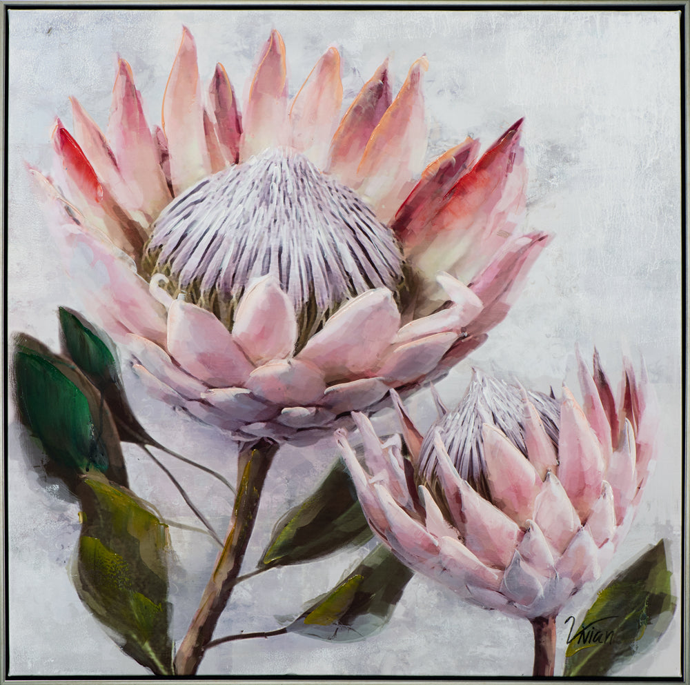 Gemälde Hübsche Protea