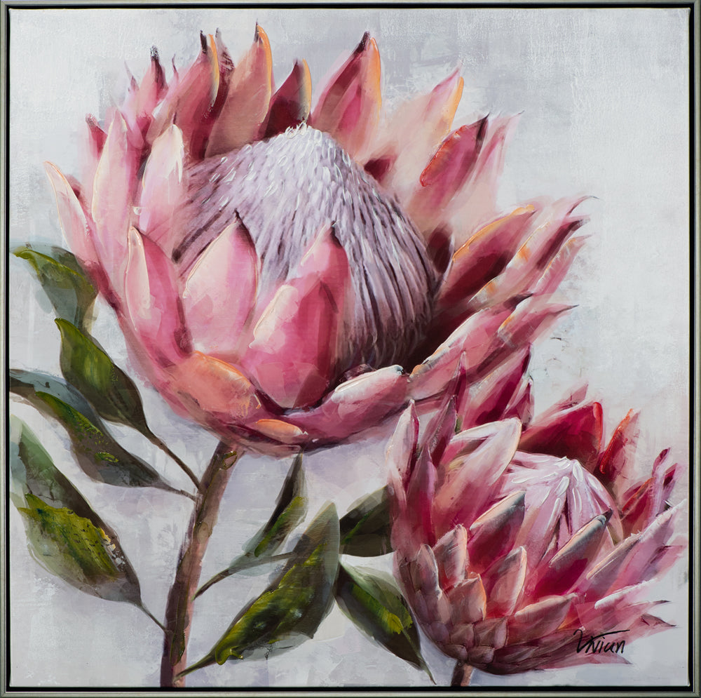 Gemälde Hübsche Protea