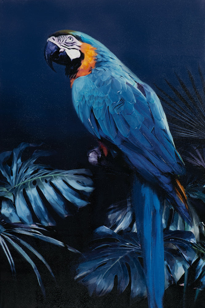 Gemälde Papagei in blau