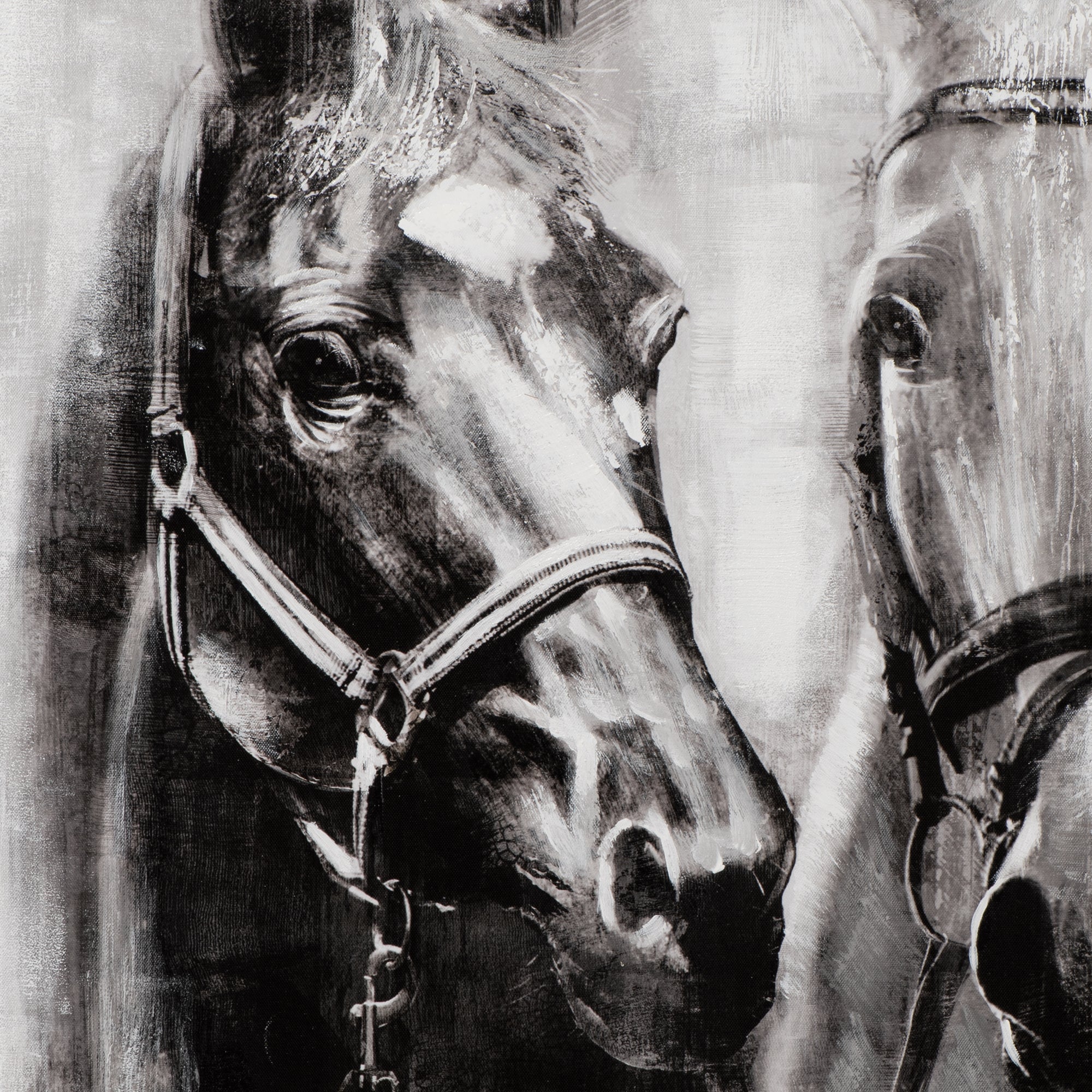Painting horses in black and white