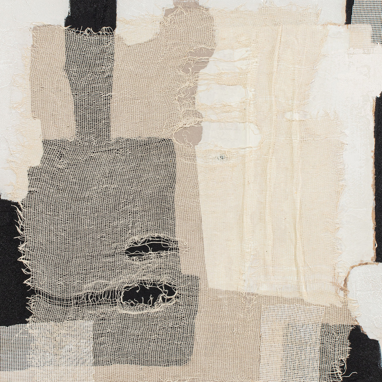 Painting Harmony of Opposites