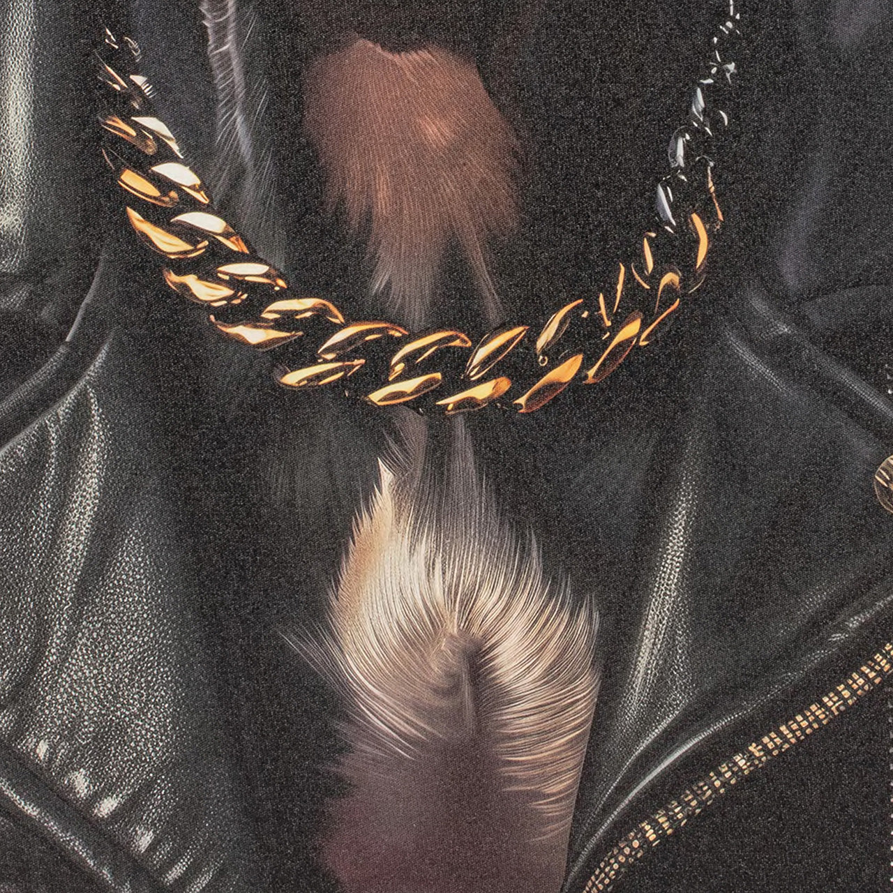 Peinture bouledogue rap