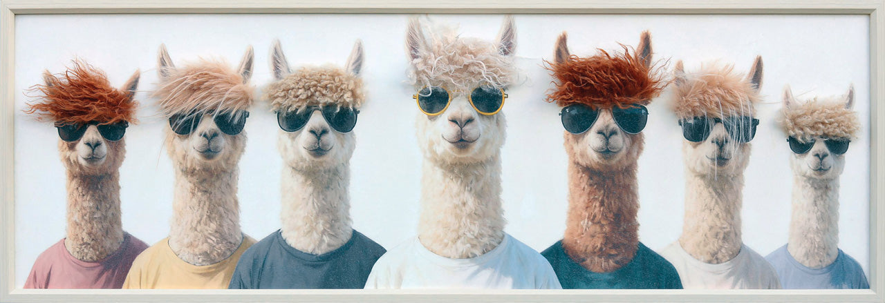 Gemälde Kunstfell The Lama Pacos