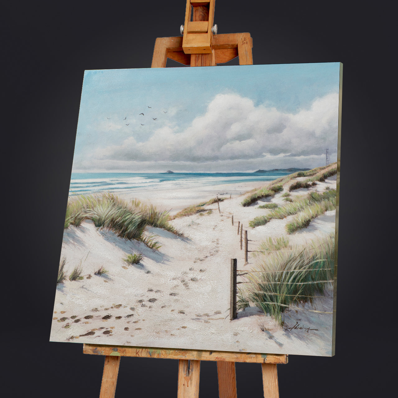 Painting Path through the Dunes
