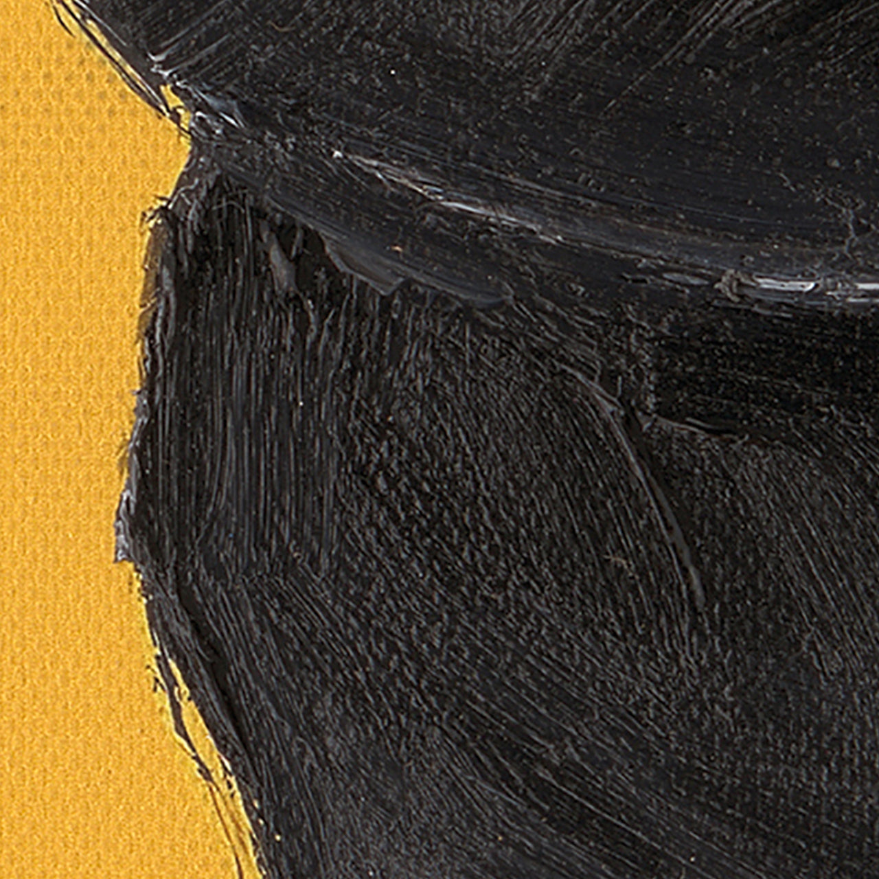 Painting Black Bully