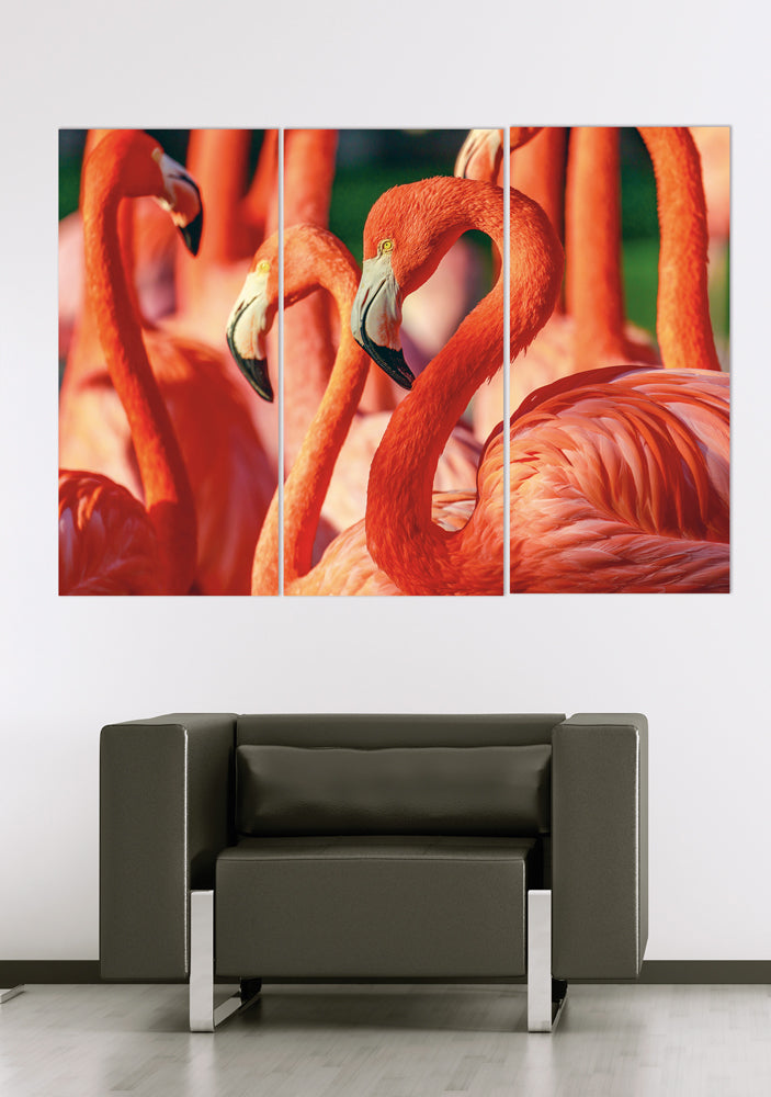 aluminum picture Flamingos