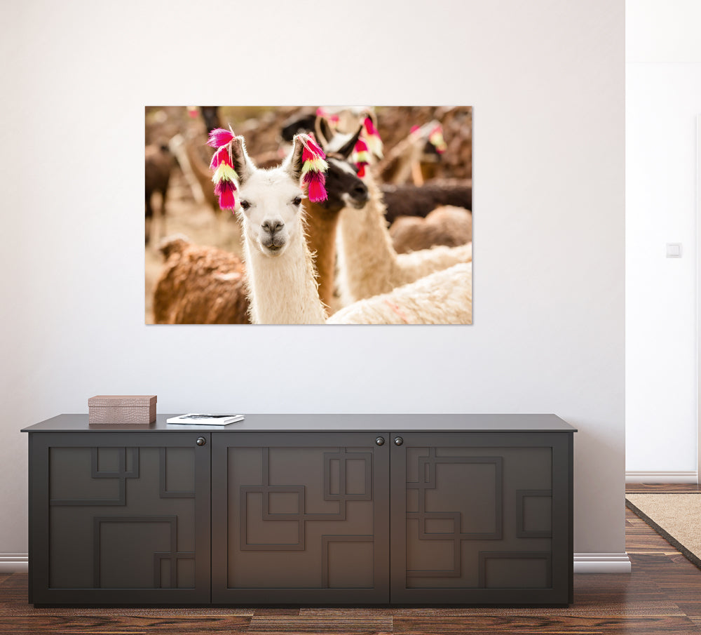 Aluminum picture Lama with earrings