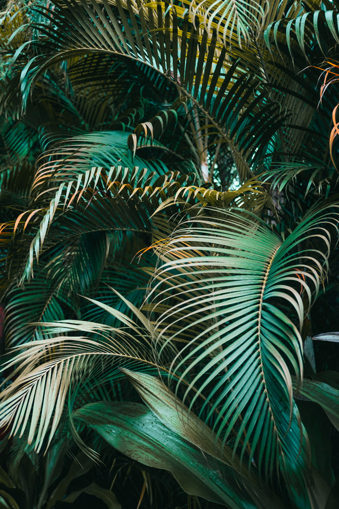 aluminum picture Green Plants