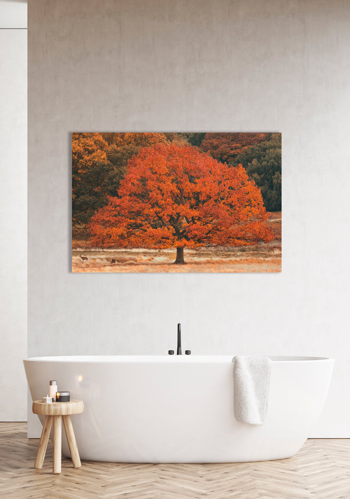 aluminum picture autumn tree
