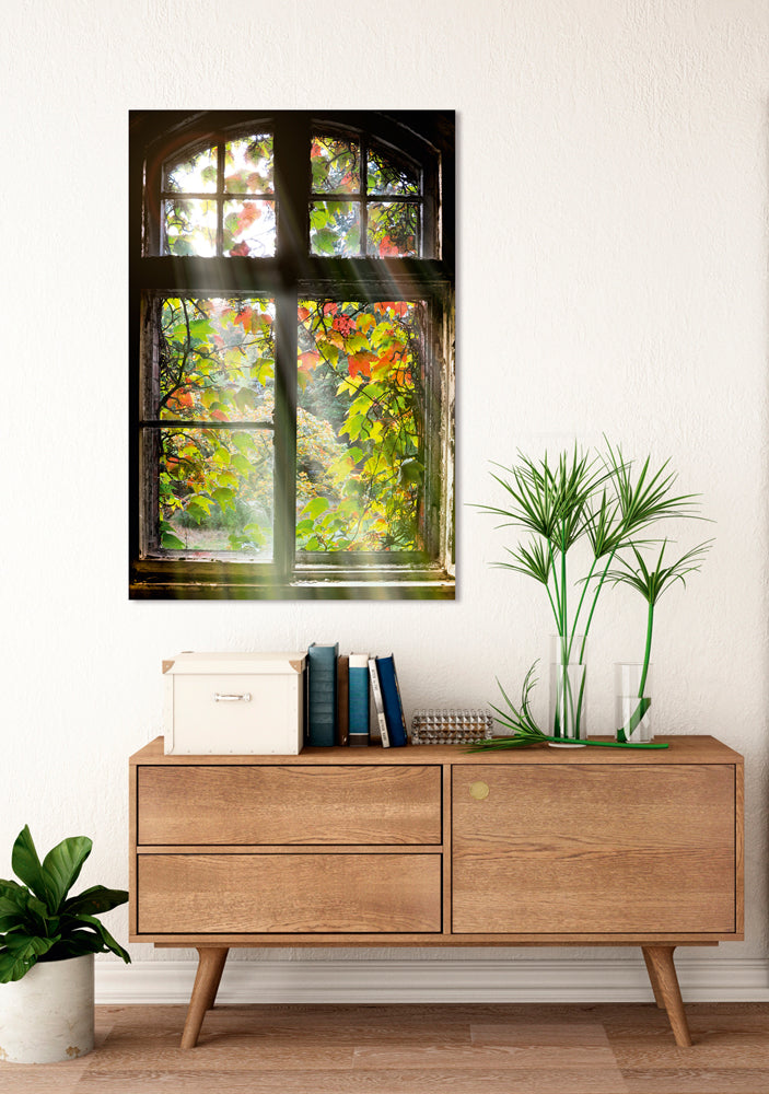 Aluminum picture window with leaves
