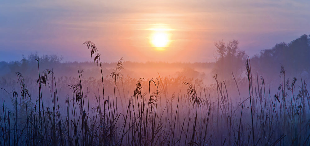 Tableau en aluminium Lever de soleil dans le brouillard