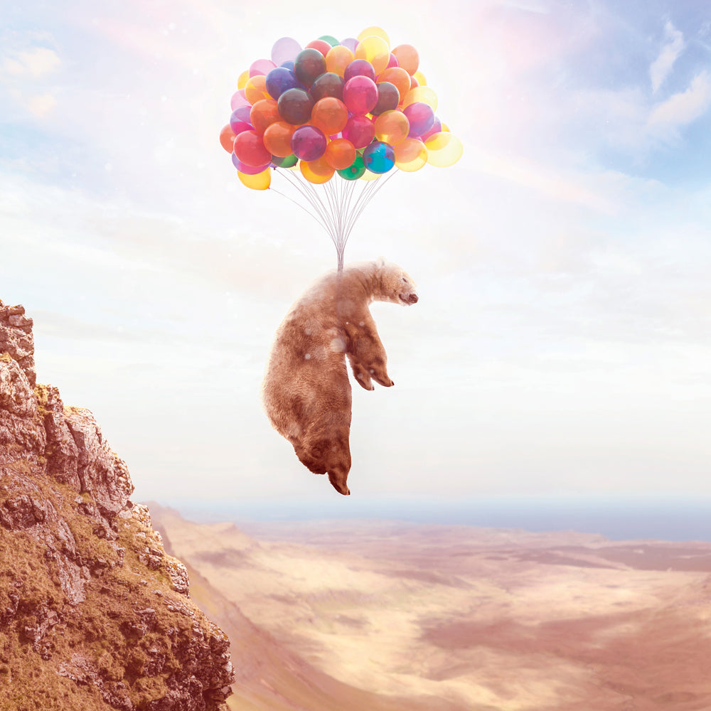 Aluminum picture Flying Bear on Balloons