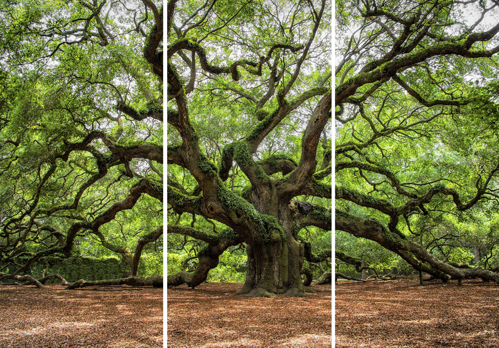 aluminum picture Branched Tree