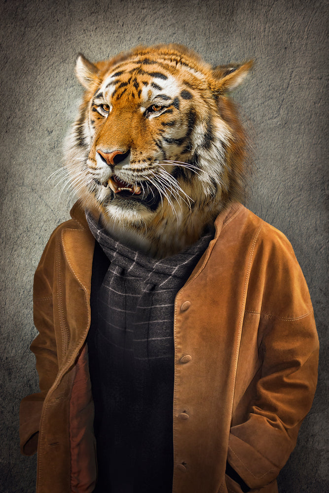 Aluminium picture Tiger in a coat