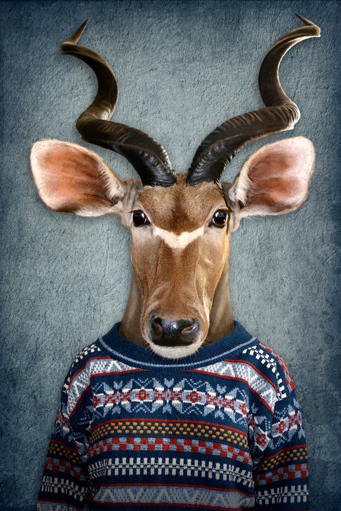 Aluminum picture Antelope with sweater