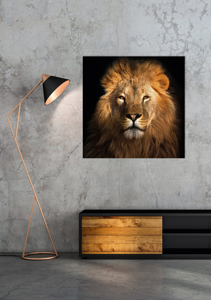 tableau en aluminium Le Roi Lion