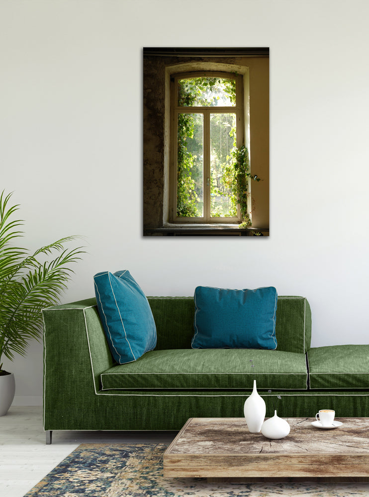 Aluminum picture window covered with leaves