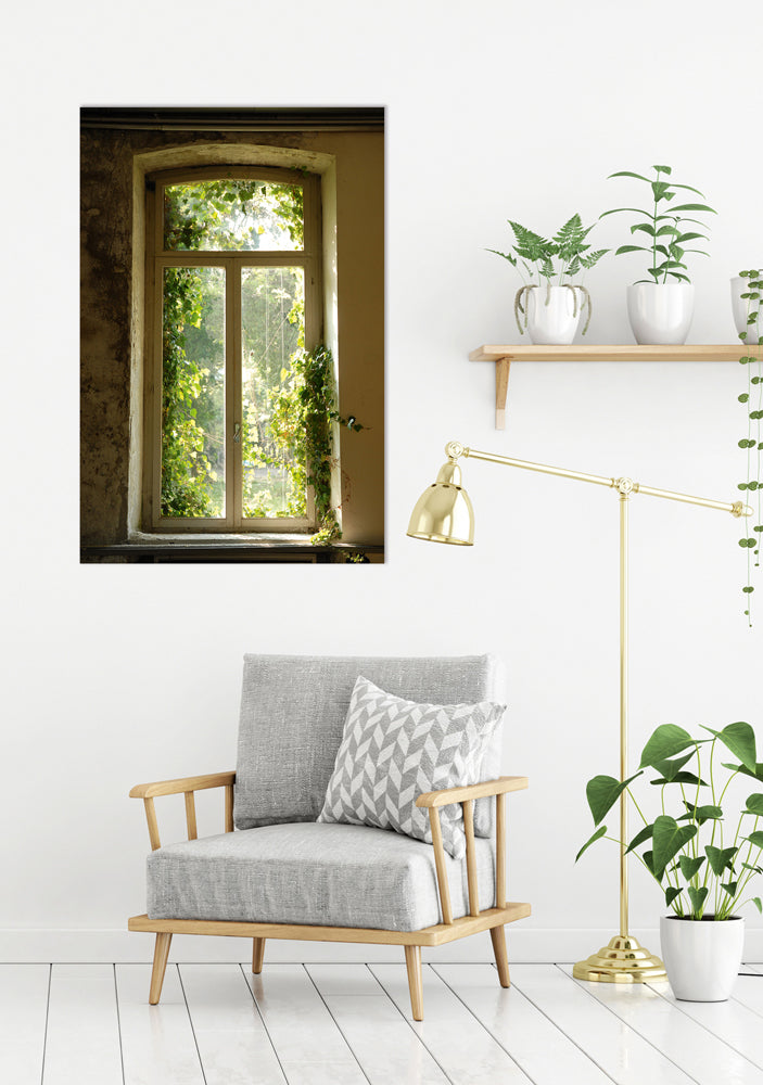 Aluminum picture window covered with leaves
