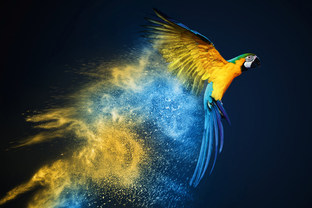 Aluminum picture parrot in blue and yellow