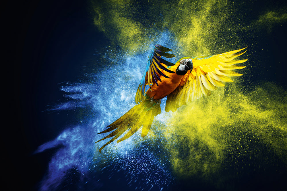 Aluminum picture parrot in blue and yellow