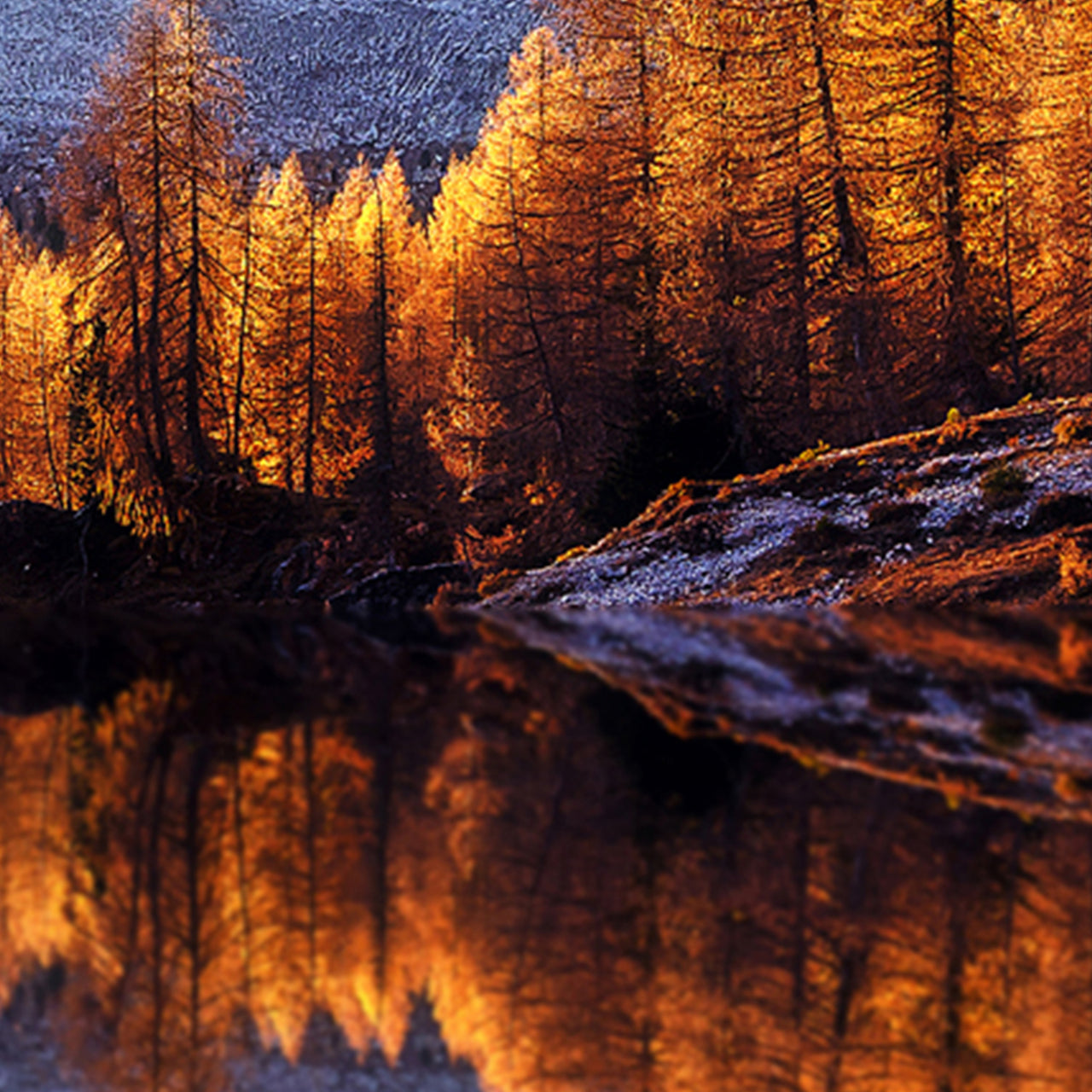 Aluminum picture Reflecting Mountains at Sunrise