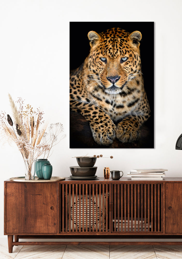 Aluminum picture Leo with steel-blue gaze