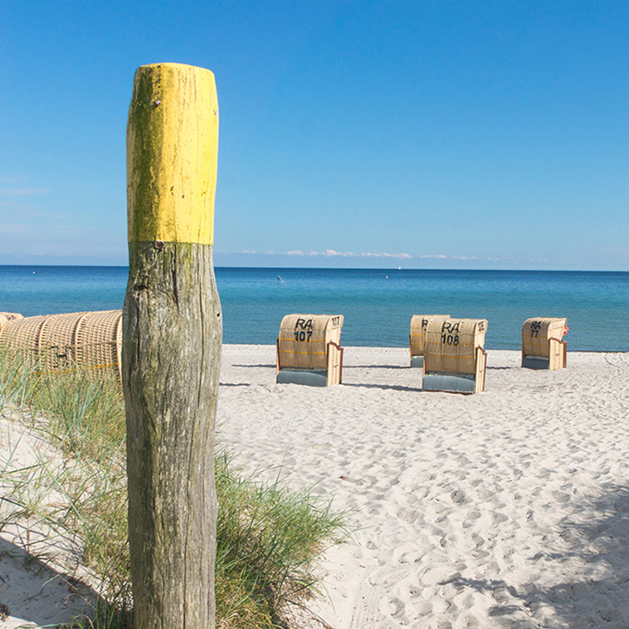 Alubild Strandkörbe Meerblick