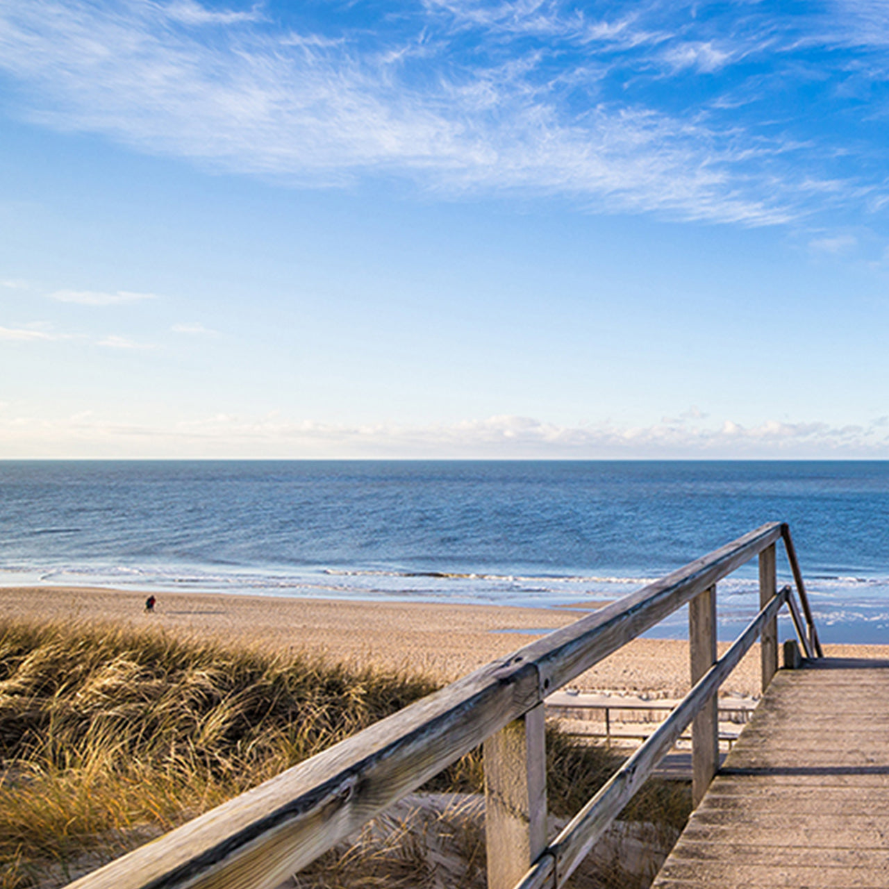 Alubild Weg zum Strand