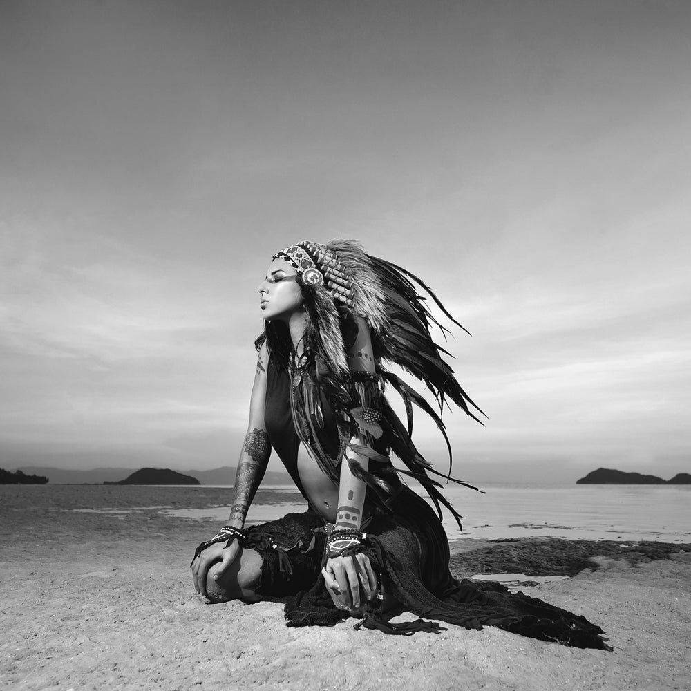 aluminum picture Indian woman