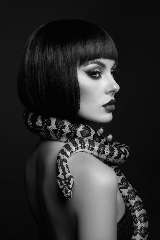 Aluminum picture Woman with Python