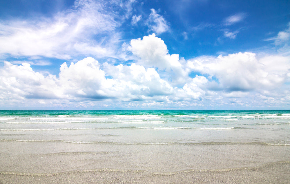 Acoustic image Pro Beach