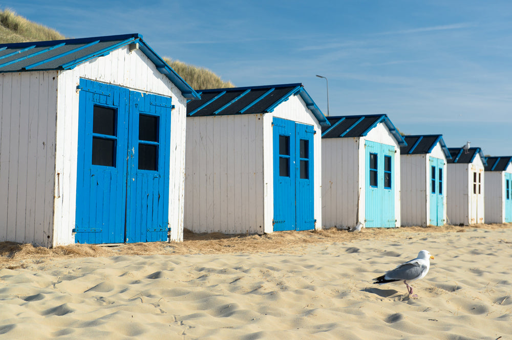 Acoustic image Pro Beach Houses
